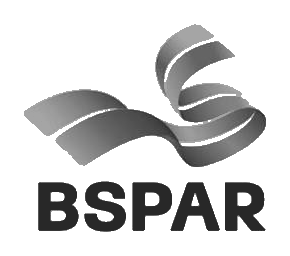 BSPar